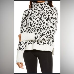 UGG Sage Cowl Neck Pullover Sweater